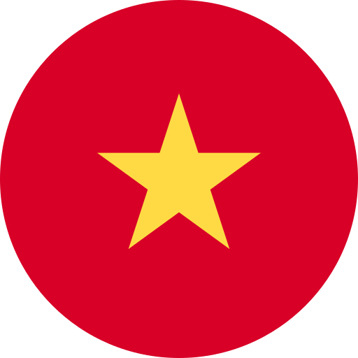 vn flag